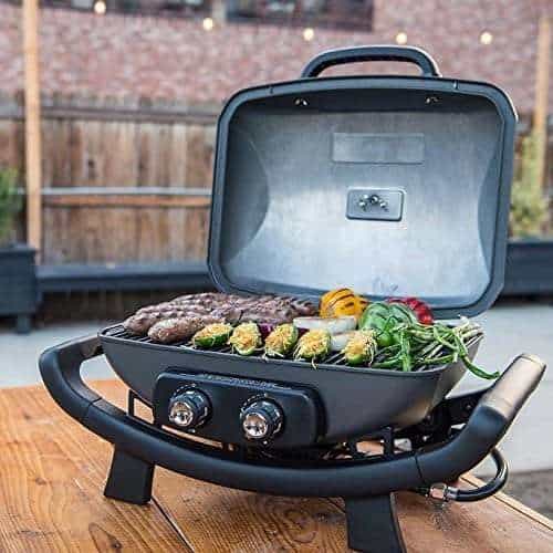 Nexgrill Fortress - 2 Burner Cast Aluminum Table Top Gas Grill