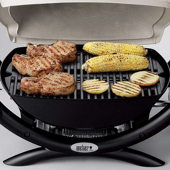 Weber q 1000 review