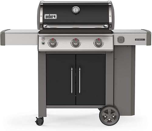 Weber 61015001 Genesis II E315
