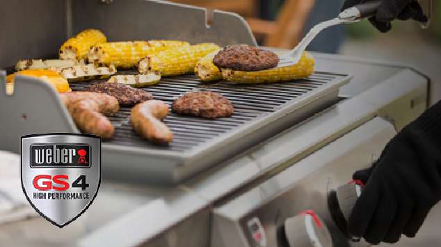 Weber Genesis II E-335 Review