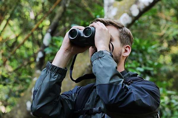 Best Binoculars For the Money