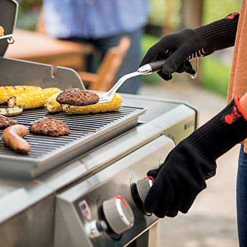 Weber Genesis II E-310 Review -Is it better than Napoleon?