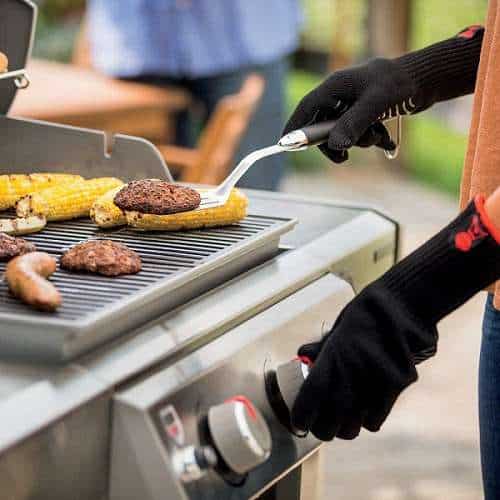 Weber Genesis II E 310 Review
