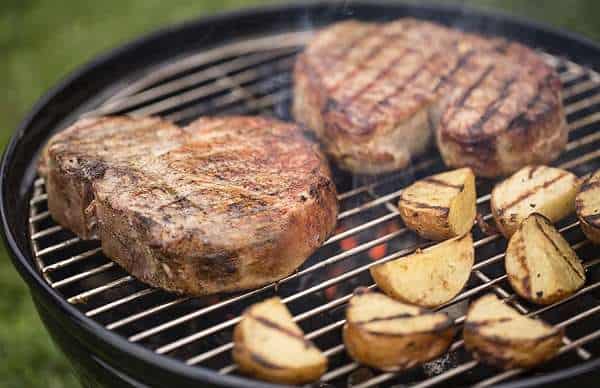 Differences & Similarities Between Weber Go-Anywhere Vs Smokey Joe