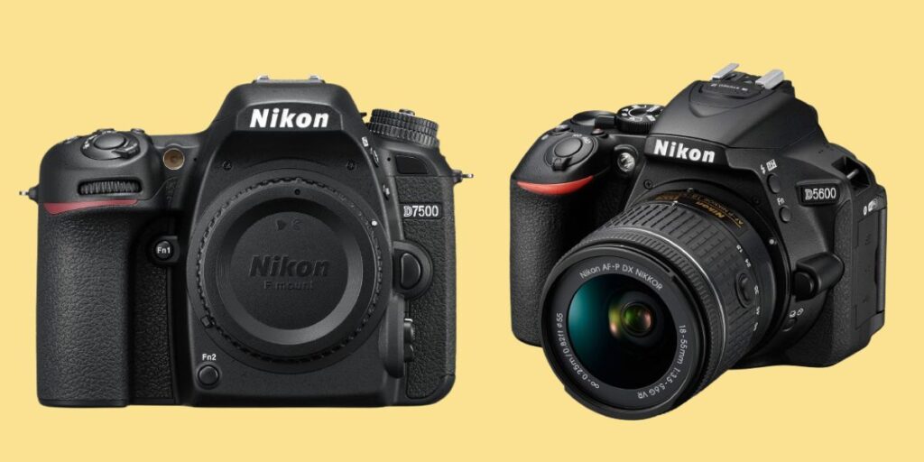 Nikon D5600 vs D7500